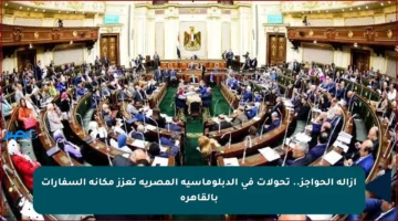 إزالة الحواجز.. تحولات في الدبلوماسية المصرية تعزز مكانة السفارات بالقاهرة